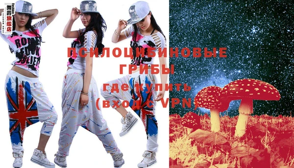 ешки Арсеньев